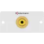 RCA kontaktligzda Kindermann 7444000503