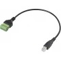 Renkforce USB 2.0 adaptera kabelis [1x 2.0 spraudnis B — 1x skavsavienojums] RF-6443964 30 cm (RF-6443964)