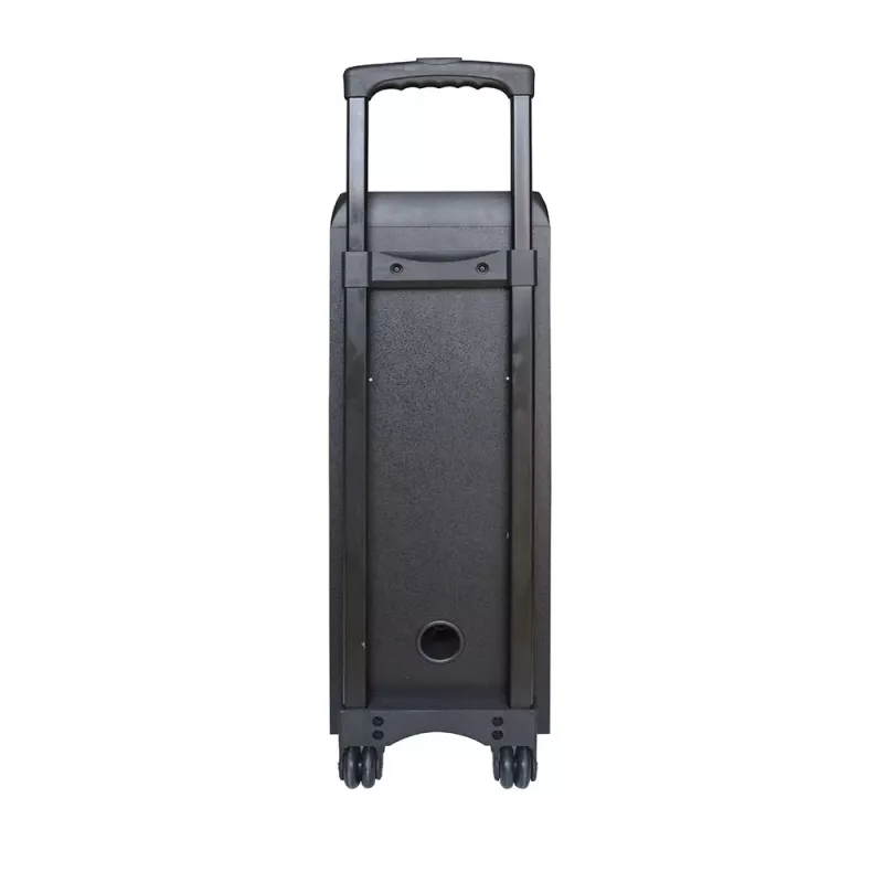 Portable Speaker Manta SPK5220, Melns