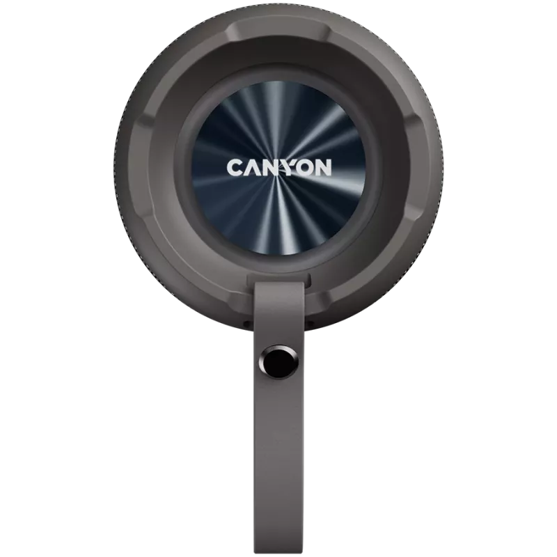 Canyon CNE-CBTSP15BG pārnēsājams skaļrunis smilškrāsā