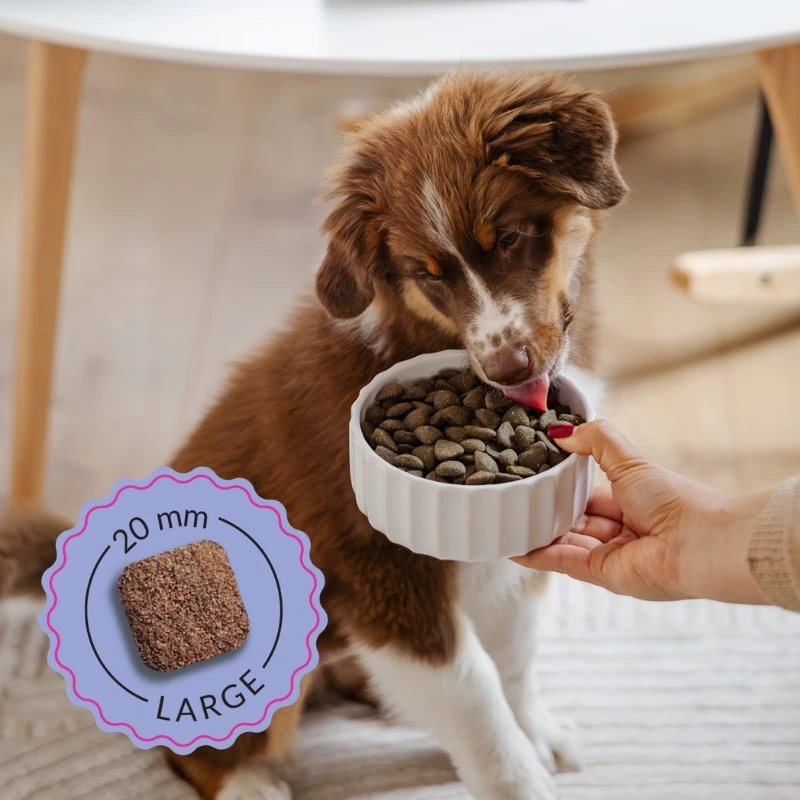 ADDVENA Boosted by superfoods Junior Medium/Large Beef - sausā suņu barība - 10kg