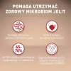 Sausā suņu barība Purina Nestle Mini Adult Beef & Rice 800 g — sausi grauzdiņi maziem pieaugušiem suņiem, 27% olbaltumvielu, 17% tauku
