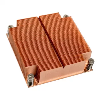 Silverstone SST-XE01-2011 serveris