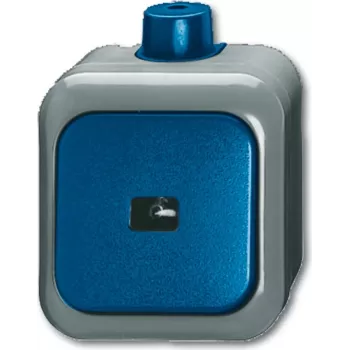 BUSCH JAEGER 2621 WDI - 1P - zaļš - pelēks - 250 V - 74 mm - 54 mm - 80 mm