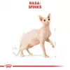 Sausā kaķu barība Royal Canin Sphynx Adult 2 kg — cūkgaļas garša, 33% olbaltumvielu, 23% tauku