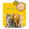 3COTY Chicken kaķēniem - mitrā kaķu barība - 80g