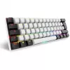 Sharkoon SGK50 S4 tastatūra Mājas USB QWERTZ Vācu Balta RGB LED 60%