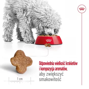 Sausā suņu barība Royal Canin Mini Adult 8+ 2 kg — mazas šķirnes 5–10 kg, mājputnu gaļa, svara kontroles formula