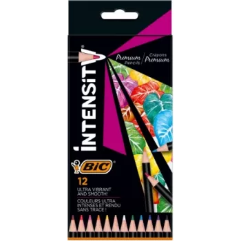 BIC krāsu zīmuļi Intensity 12 krāsas 951844