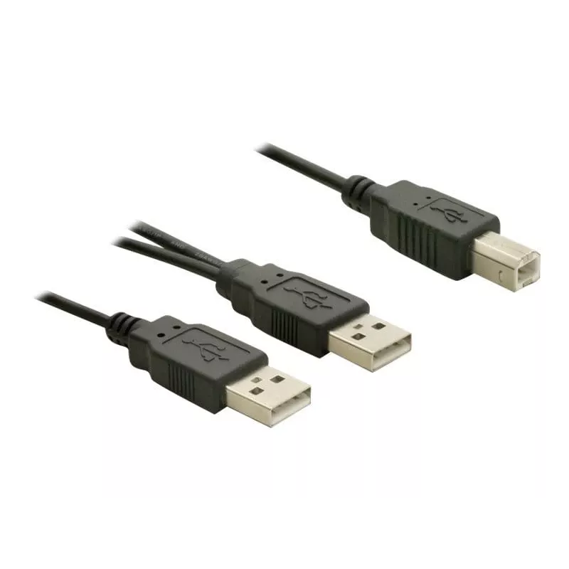 USB kabelis DeLOCK USB-B/USB-A kabelis 1 m melns
