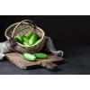 Wisconsin Cucumber SMR 58 Toraf dārzeņu sēklas, 5g iepakojums