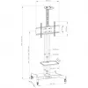 Monitora statīvs Hagor 8209 139,7 cm (55 collas) uz grīdas melns