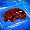 Liscianigiochi Science Kit Crazy Science Slime Chameleon 304-PL89246 – izglītojošs gļotu eksperimentu komplekts