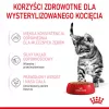 Mitrā kaķu barība Royal Canin Sterilised Gravy, 12 x 85 g maisiņi — vistas gaļa, sterilizētiem/kastrētiem kaķēniem, 11% olbaltumvielu, 80,5% mitruma