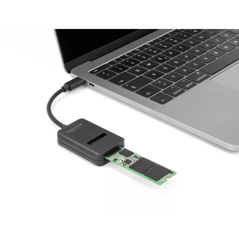 DeLOCK kombinētais adapteris M.2 NVMe PCIe SATA SSD USB Type-C ar 10 Gbps