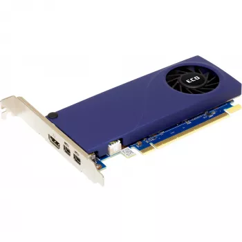 Grafikas karte Sparkle Intel Arc A310 ECO 4 GB GDDR6, PCIe 4.0 x8, 1000 MHz, 64 bitu kopne, 4K@60Hz