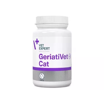 Uztura bagātinātājs VETEXPERT GeriatiVet Cat kapsulas 60 gab. — vecāka gadagājuma kaķu atbalsts, smadzeņu darbības veicinātājs, bez lipekļa un sojas