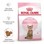 Sausā kaķu barība Royal Canin Kitten Sterilised 3,5 kg — mājputnu gaļa, 34% proteīnu, 12% tauku