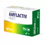 VETFOOD Amylactiv digest suņiem un kaķiem 30 kapsulas