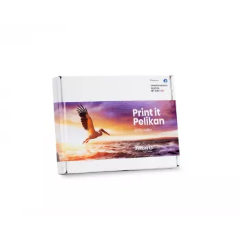 Pelikan PromoPack P55 - Kompatibel - Schwarz - Cyan - Magenta - Gelb - Canon - Multipack - 4 Stück(e) - PGI550CLI551XLMP