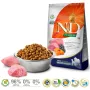 FARMINA N&D Pumpkin Lamb&Blueberry Adult Medium & Maxi - sausā suņu barība - 12 kg