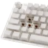 Ducky One 3 TKL tastatūra Spēļu USB QWERTY angļu valodā Balta