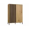 KAMARO 2DD plāns/GŁ ozols ARTISAN DISPLAY CABINET