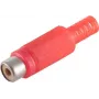 RCA stieples savienotājs, sarkans, ShiverPeaks BS51500-R