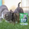 Mitrā kaķu barība VETEXPERT RAW PALEO Adult Sterilised Game 100 g — brieža gaļa, bez graudiem, tendencei uz lieko svaru