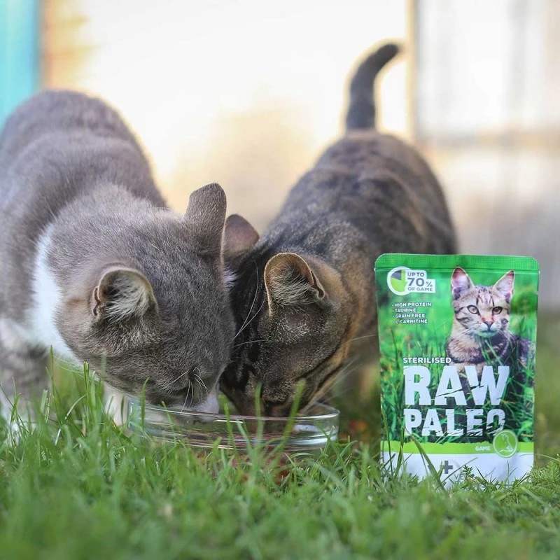 Mitrā kaķu barība VETEXPERT RAW PALEO Adult Sterilised Game 100 g — brieža gaļa, bez graudiem, tendencei uz lieko svaru