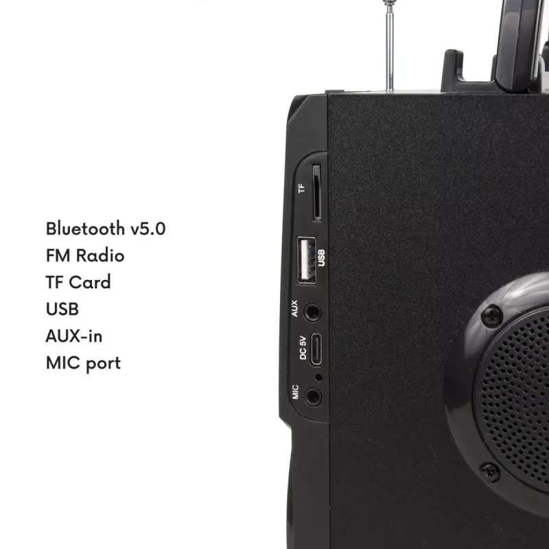 Bluetooth skaļrunis Audiocore AC730, melns