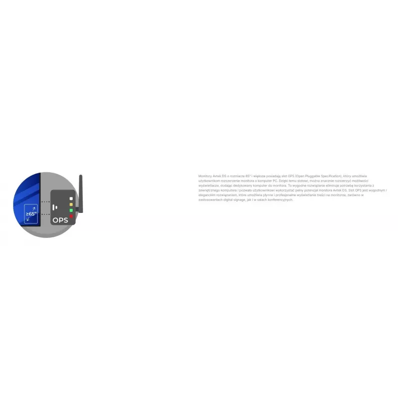 Avtek Information Monitor DS2 75