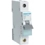Hager MCN116 - 16 A - C-Type - 1 Module(e) - -25 - 60 °C - -25 - 80 °C - 17,5 mm