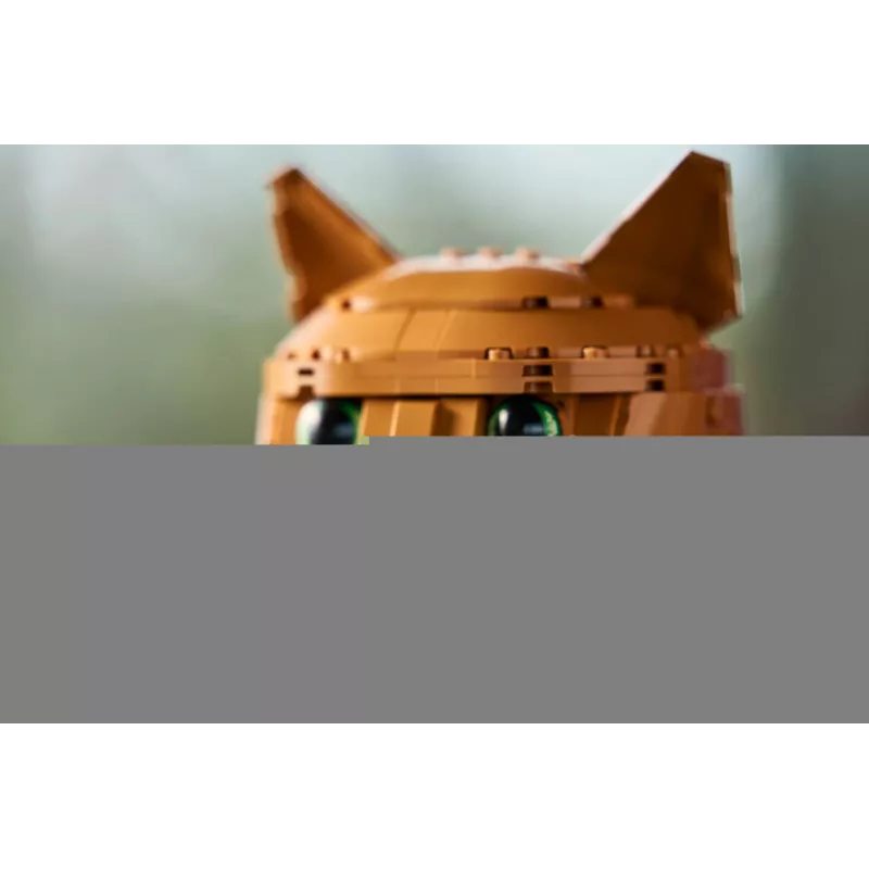 LEGO IDEAS 21376 oranža Cat