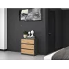 Topeshop M3 ANTRACYT/ARTISAN kumode