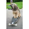 Longboard Muuwmi Lights GLOW ABEC 7 ar gaismas riteņiem, melns/zaļš