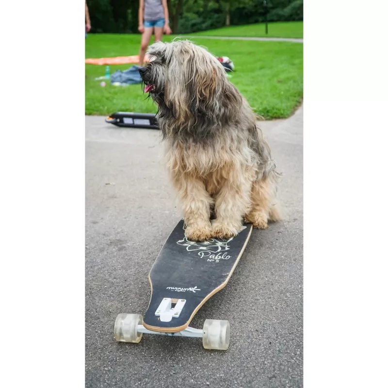 Longboard Muuwmi Lights GLOW ABEC 7 ar gaismas riteņiem, melns/zaļš