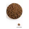 ORIJEN Regional Sarkans - sausā suņu barība - 11,4kg