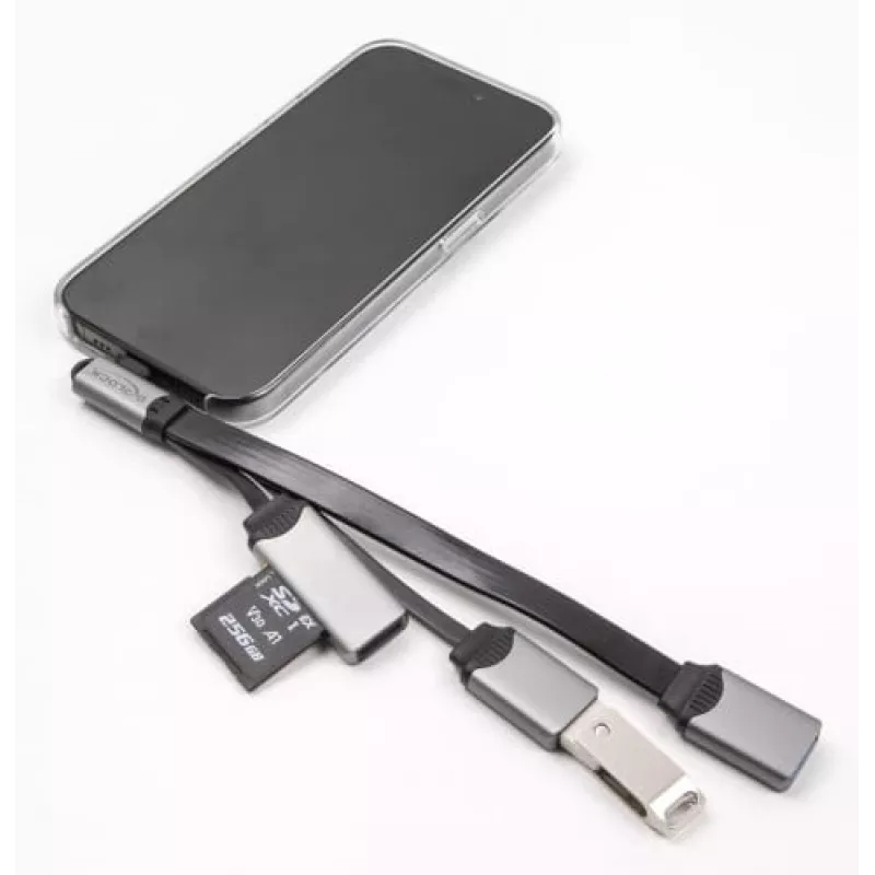DeLOCK 64303 USB 3.2 Gen 1 Type-C centrmezgls 5000 Mbit/s Pelēks