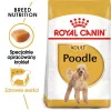 Sausā suņu barība Royal Canin Poodle Adult 1,5 kg — vista, 30% olbaltumvielas, 19% tauki