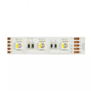 Synergy 21 LED Flex Strip 5050 - 60 RGB DC24V + RGB-W vienas mikroshēmas nw IP68