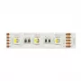 Synergy 21 LED Flex Strip 5050 - 60 RGB DC24V + RGB-W vienas mikroshēmas nw IP68