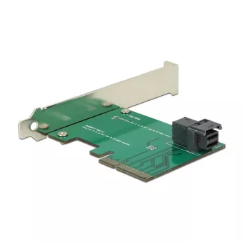 Interfeisa karte DeLOCK 89458