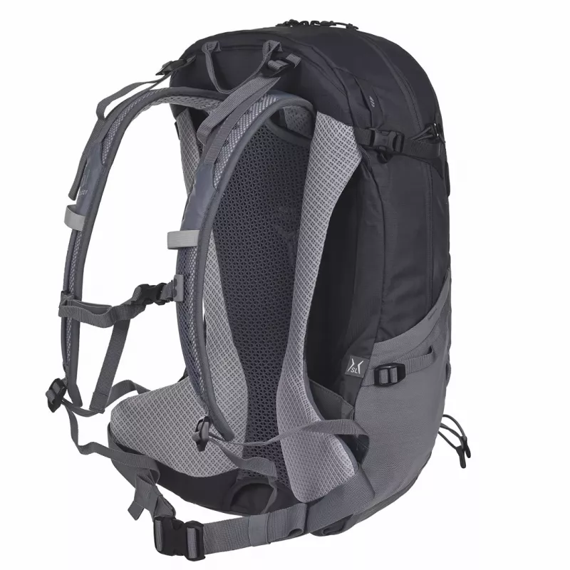 Mugursoma Deuter Futura 21 L pelēka