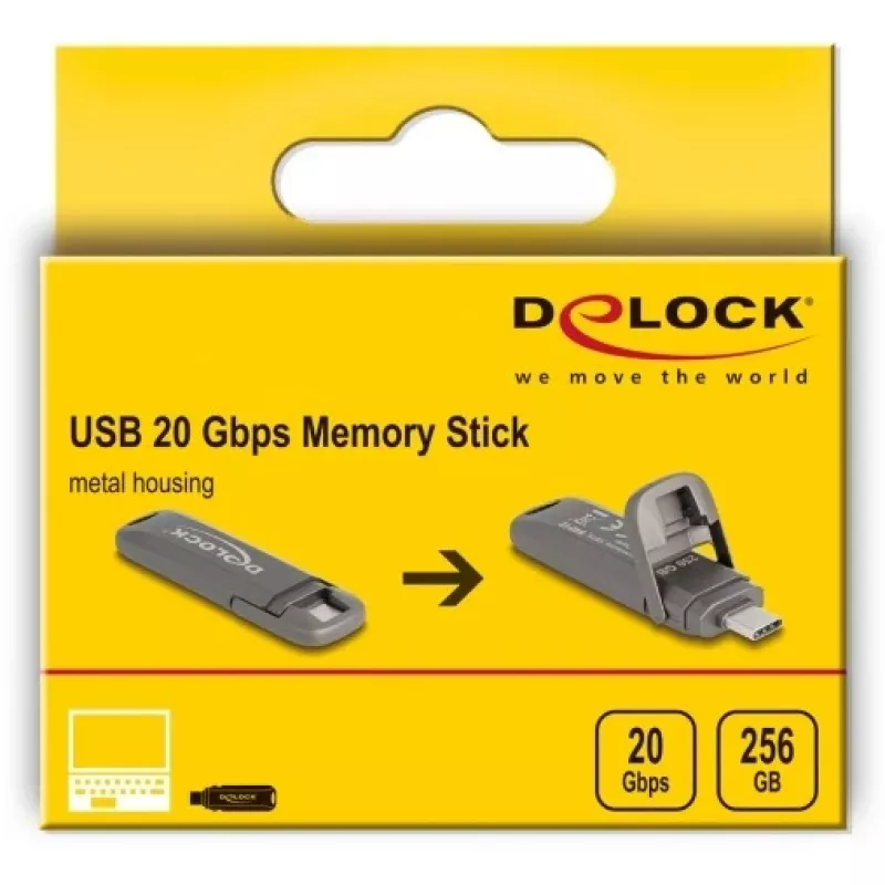 USB zibatmiņa DeLOCK 54012 256 GB USB Type-C pelēka