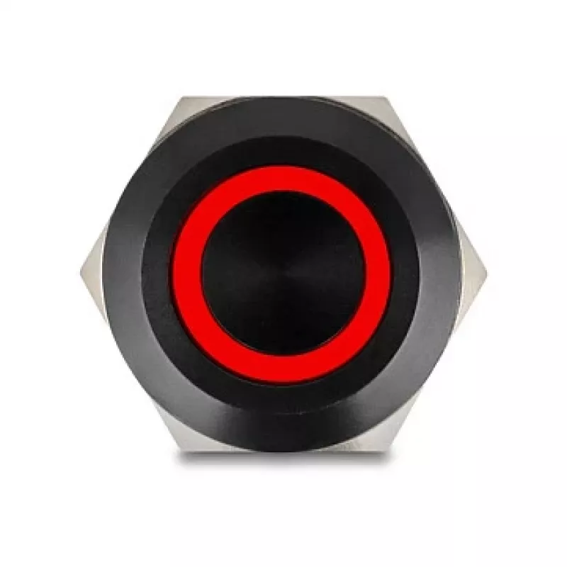 Paneļa spiedpogas slēdzis DELOCK 22015 22 mm, 12 V, 5 lodēšanas spailes