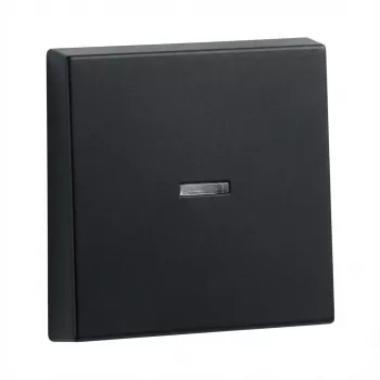 Sviras Gira System 55 vadības rāmim, modelis 290005 (Wippe Kontrollf.)