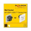 DeLOCK 11489 kontaktligzda CEE 7/3 + USB balta 250V 16A
