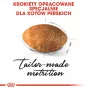 Sausā kaķu barība Royal Canin Persian 4 kg — pieaugušiem persiešiem, vista, 30% olbaltumvielu, 22% tauku