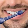 Zobu birste Zelmer ZTB1010B